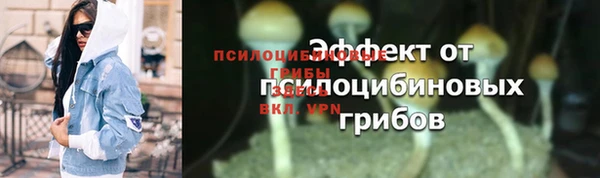 mix Алексин