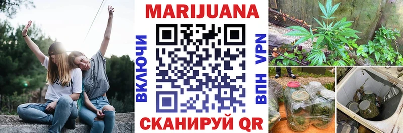 Марихуана план  Полярные Зори 